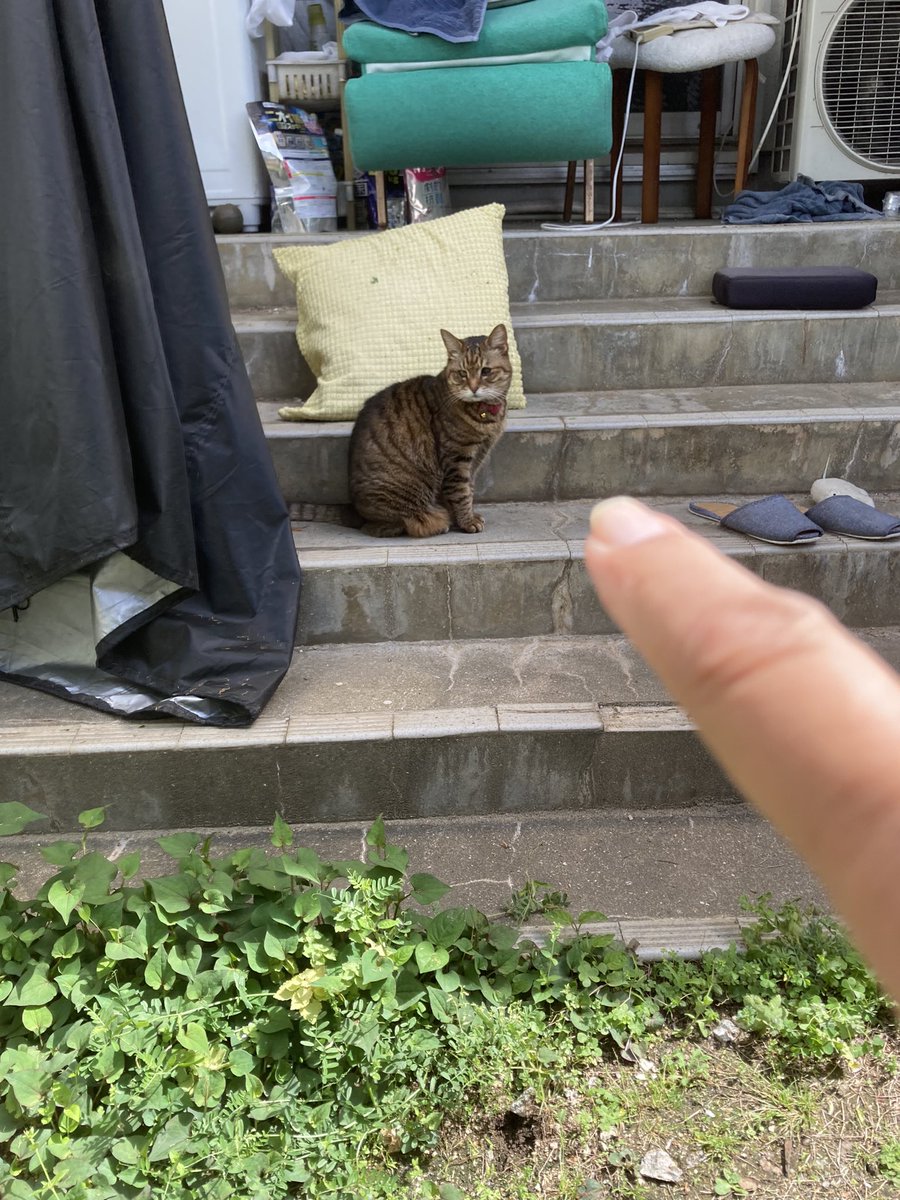 kaz6thlife's tweet image. 【#maintenance of my lovely #accousticGuitar.＆ my #life】
🎙🎸
✨♫✨🎹✨🎼✨🎺✨

#AllmanBrothersBand 聴きながら、久しぶり、乗って来ました♪^ ^💧
                            ⏰10:59
#薔薇 が咲いています♪

#オールマン・ブラザース・バンド
youtu.be/BM8pZqgb3z8?si…