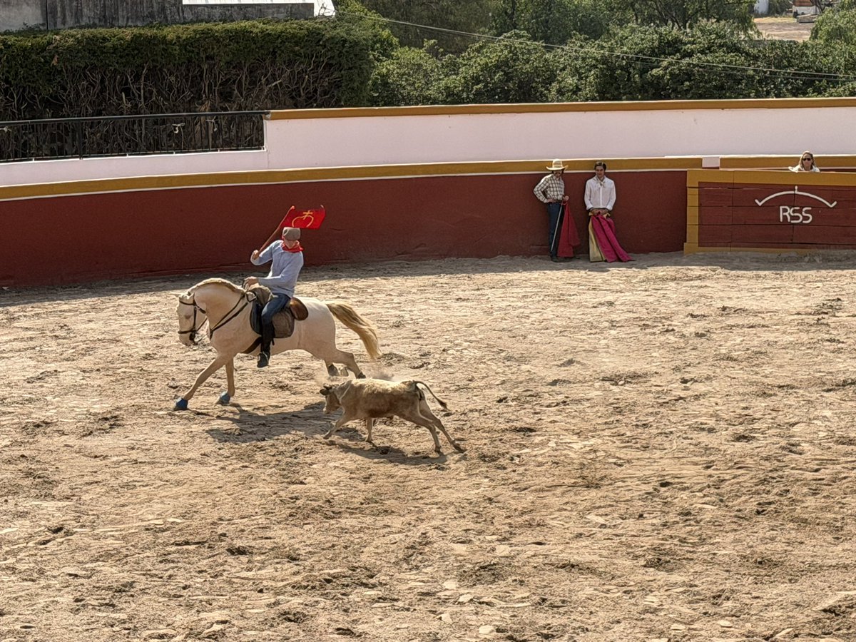 a_delabarreda's tweet photo. Nuestro Festival Taurino @PreparatoriaUPv fue nuevamente un tremendo éxito. 

¡Qué gran ambiente de nuestras familias para ver en el ruedo a los toreros panamericanos!

¡Pantera, no cualquiera! https://t.co/3W0Ljk7u9A