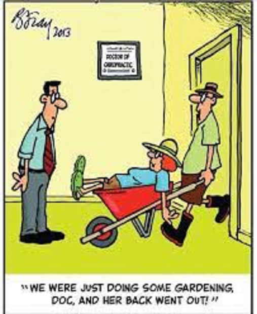 drdozellodc's tweet image. #sundayfunday #chiropractor #chiropractic #joke