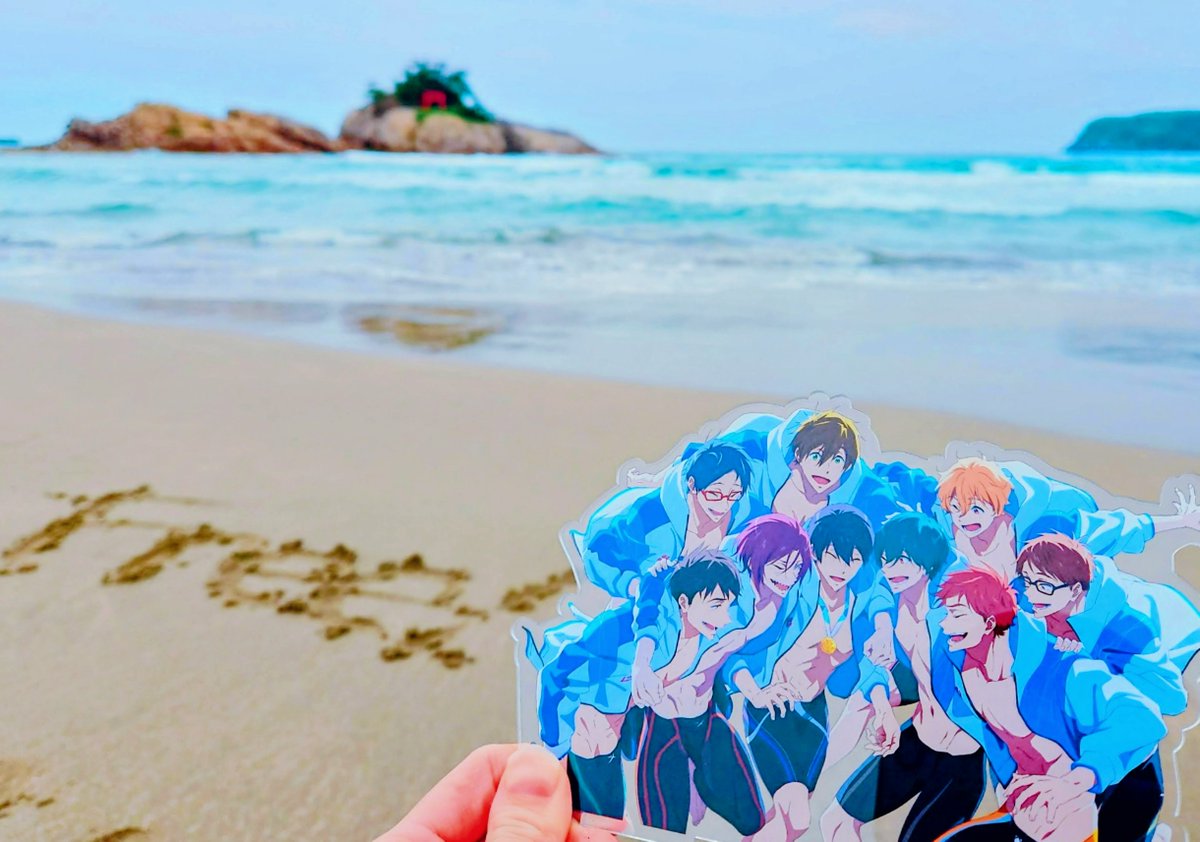 めいこ🏊‍♀️🌊 tweet media