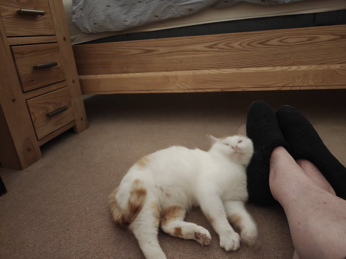 Alastair Campbell tweet media