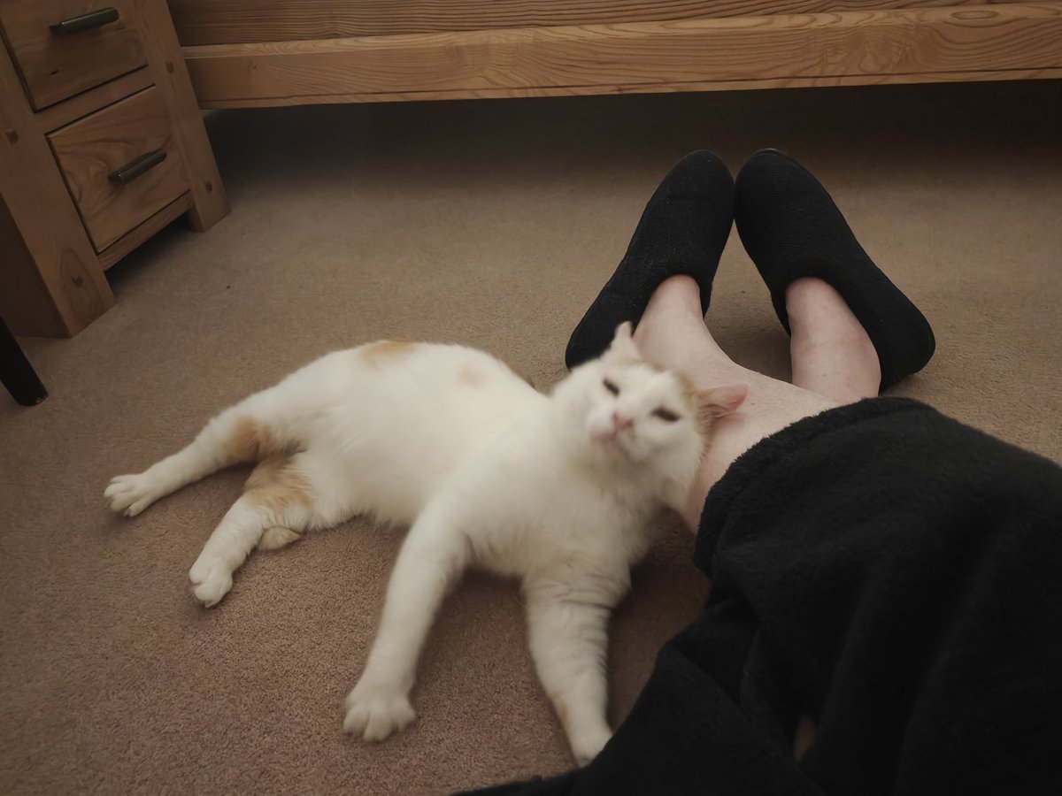 Alastair Campbell tweet media