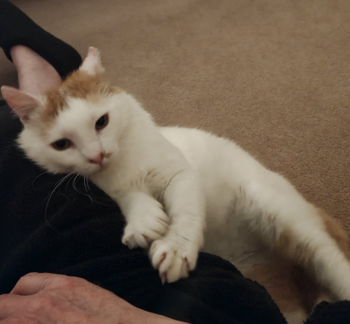 Alastair Campbell tweet media