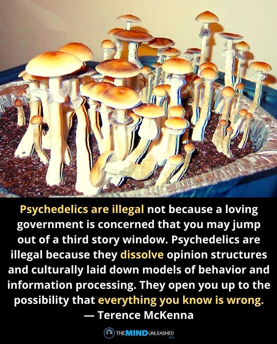 🧬Maxpein🧬 tweet media