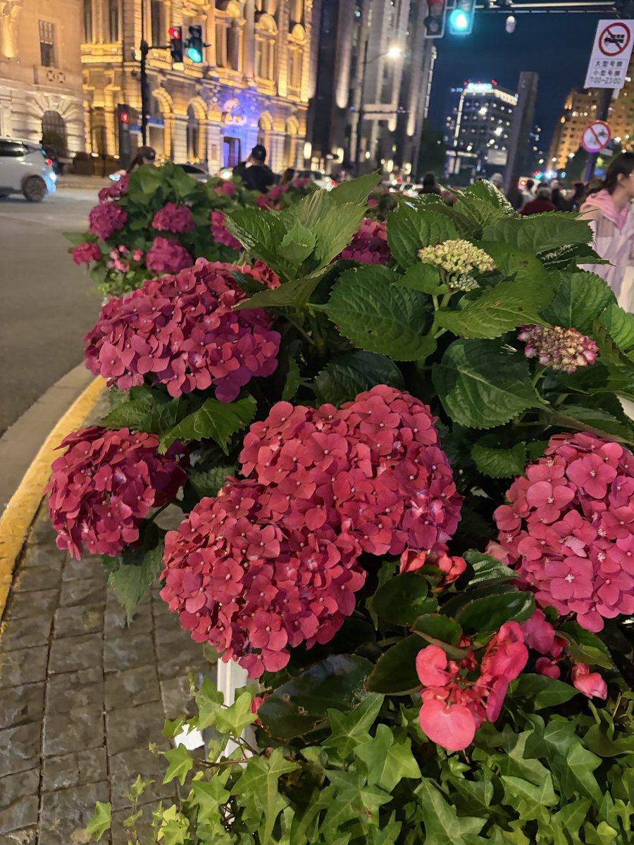 💚💚💚 tweet media