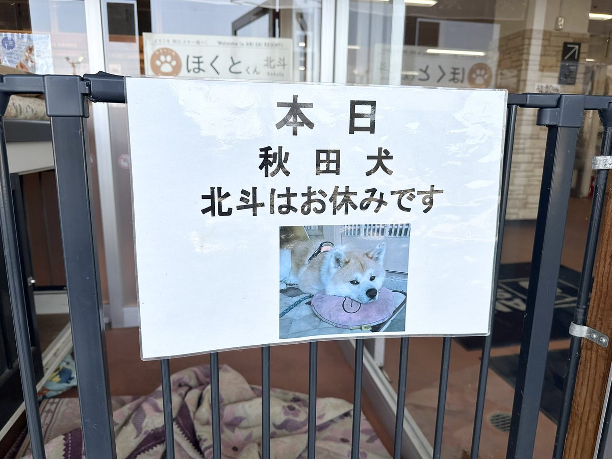 お早うございます🙇‍♀️

⛷️冬季営業最終日🏂

天気晴れ🌞
山頂気温8℃🌡️
皆様のご来場ををまたしております🎶

 #森吉山 #最終日 #営業