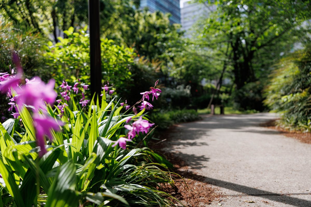 ttzlax's tweet image. 今日もリハビリ頑張ろう！

RF28-70mm F2.8 IS STM
#canon #eosr8