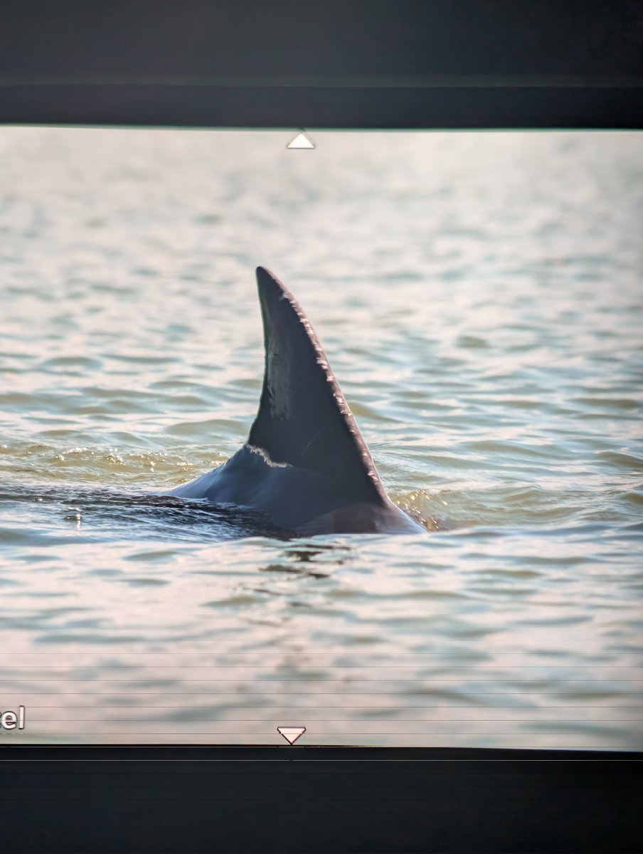 XANDER GEOGRAPHIC 🏕️ tweet media