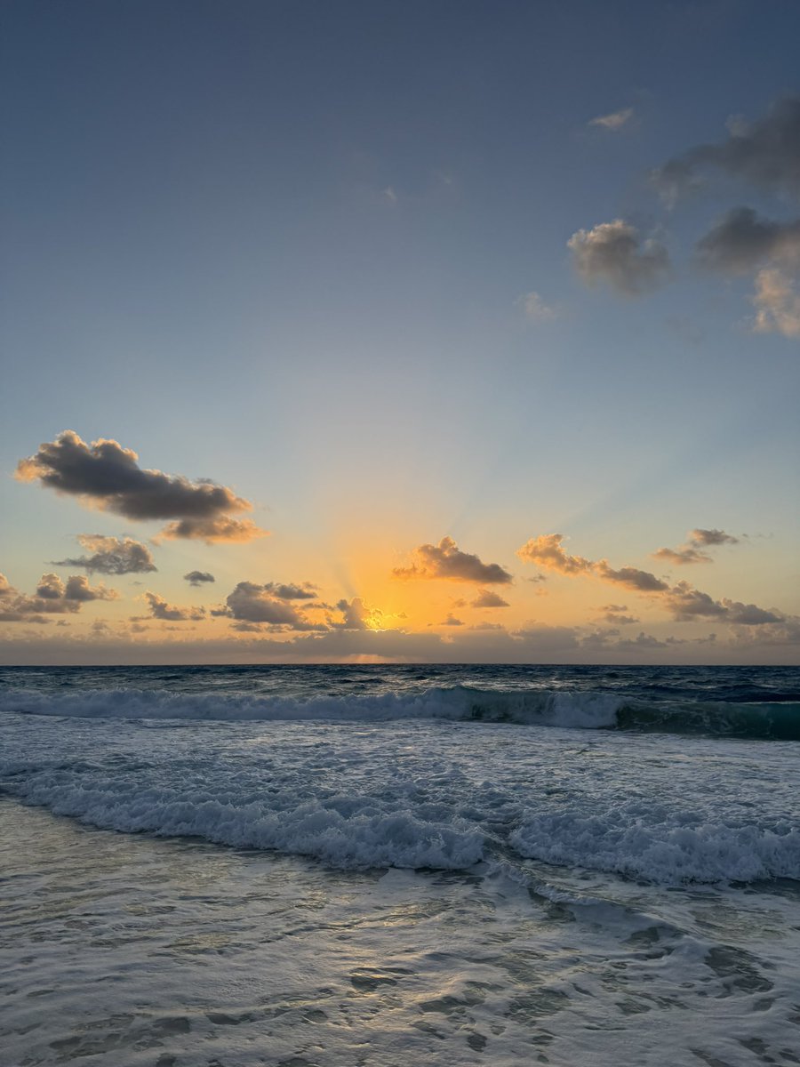 Lena ☆ tweet media