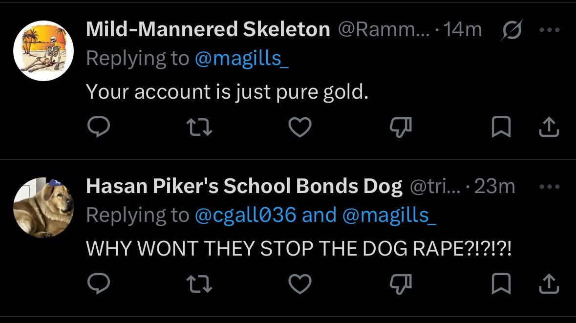 Magills tweet media