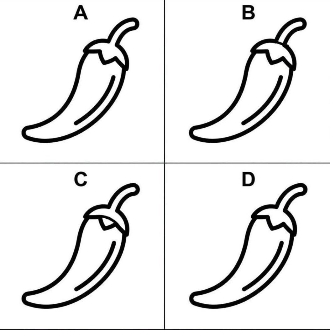 Nisha chodhary 🇮🇳 tweet media