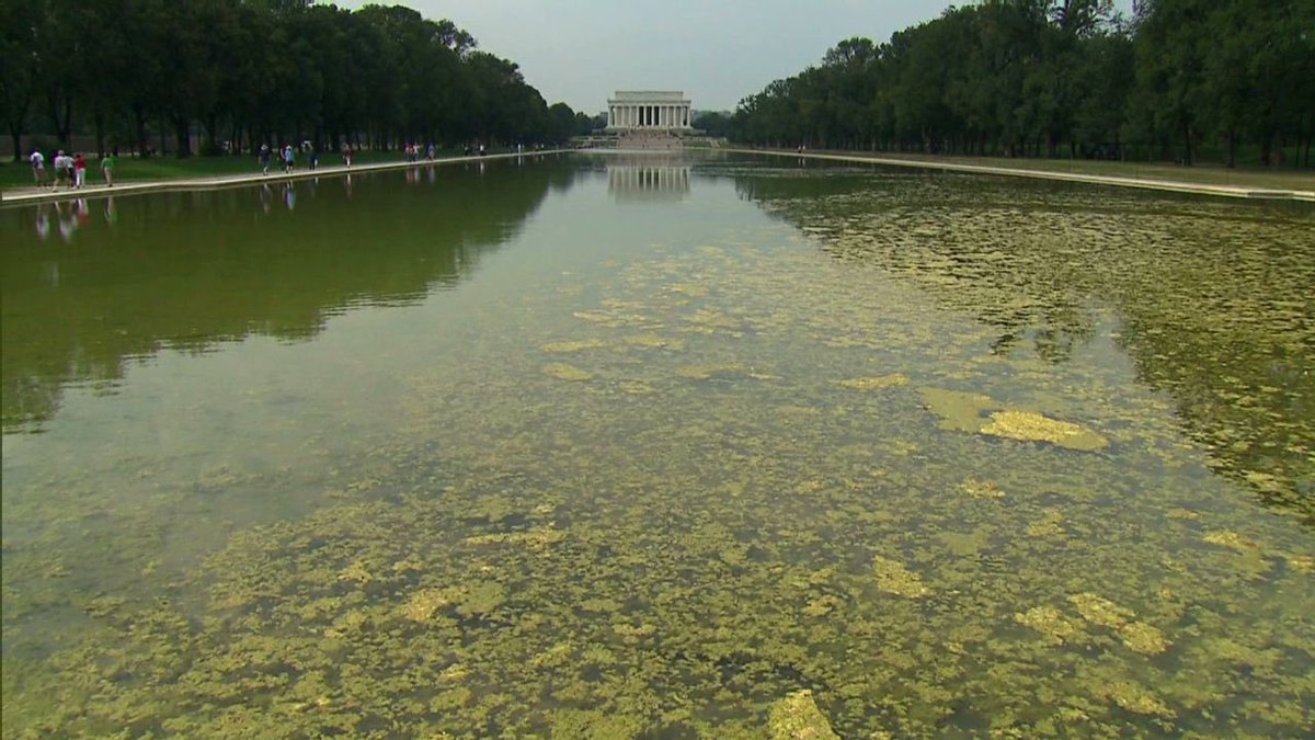 ALX 🇺🇸 tweet media