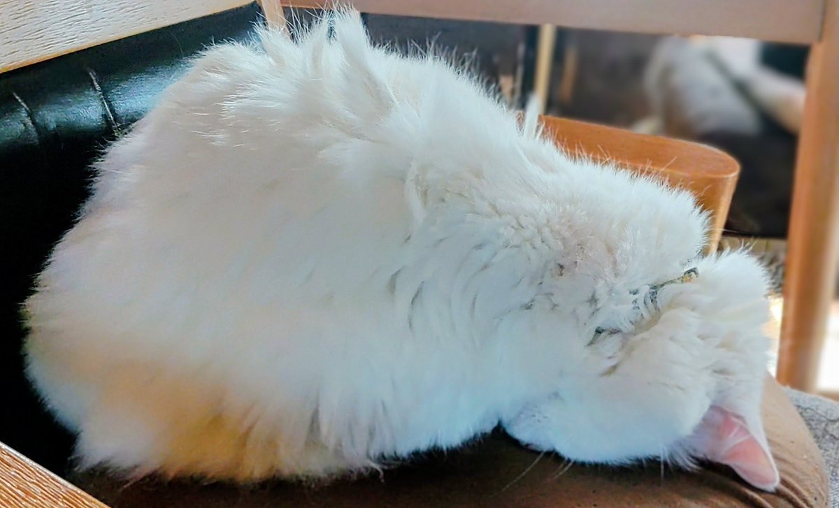 𝙐𝙡𝙩𝙞𝙢𝙖𝙩𝙚 𝙋𝙖𝙞𝙣(ｱﾙﾍﾟﾝ)♿ tweet media