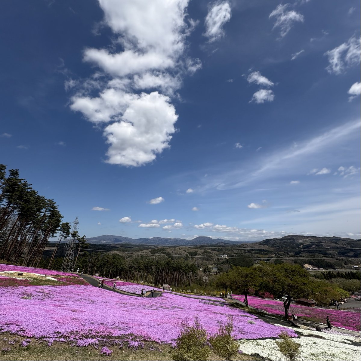ちびっこギャングママ tweet media