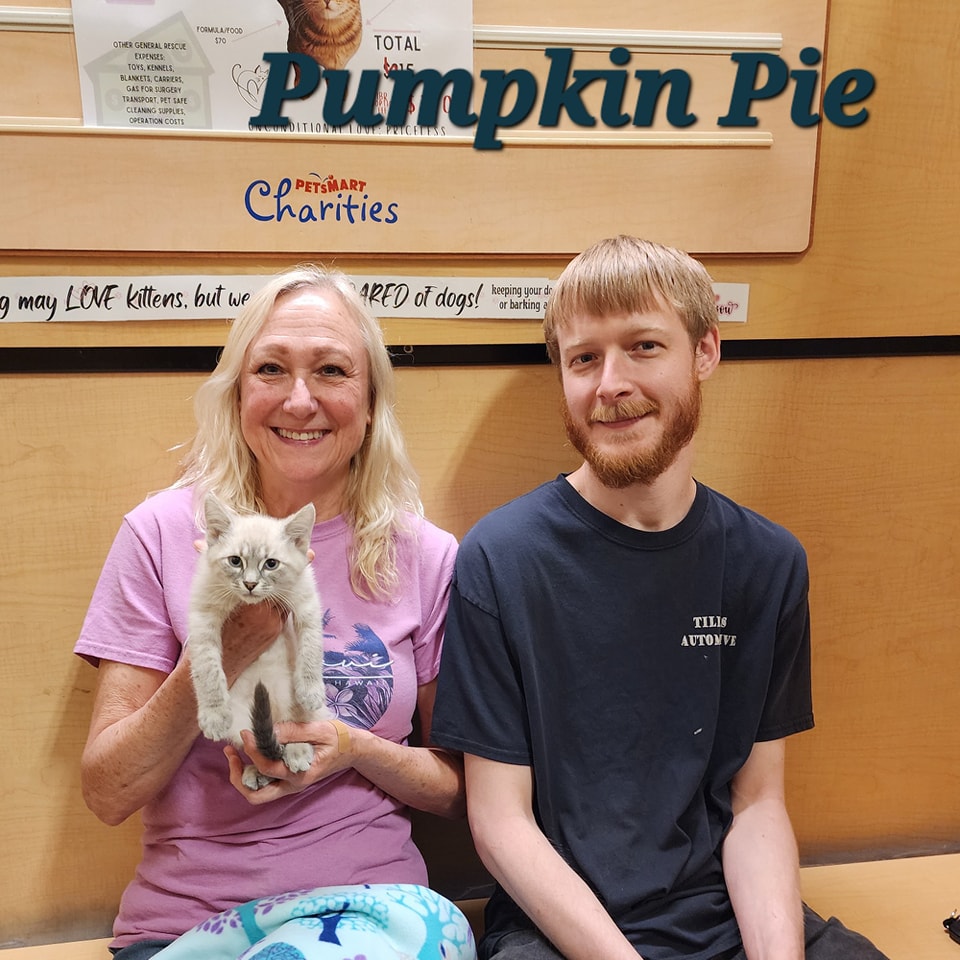 IBRescue's tweet image. Saving lives, one kitten at a time.
 Yay for Pumpkin Pie who found her purr-fect home
 her purrfect home! Help us create more happy endings!
 #BDOG2026 is May 7th, but you can donate now: bigdayofgiving.org/organization/i… 
#donation #saveslives #kittenrescue #gratitude #AnimalRescue