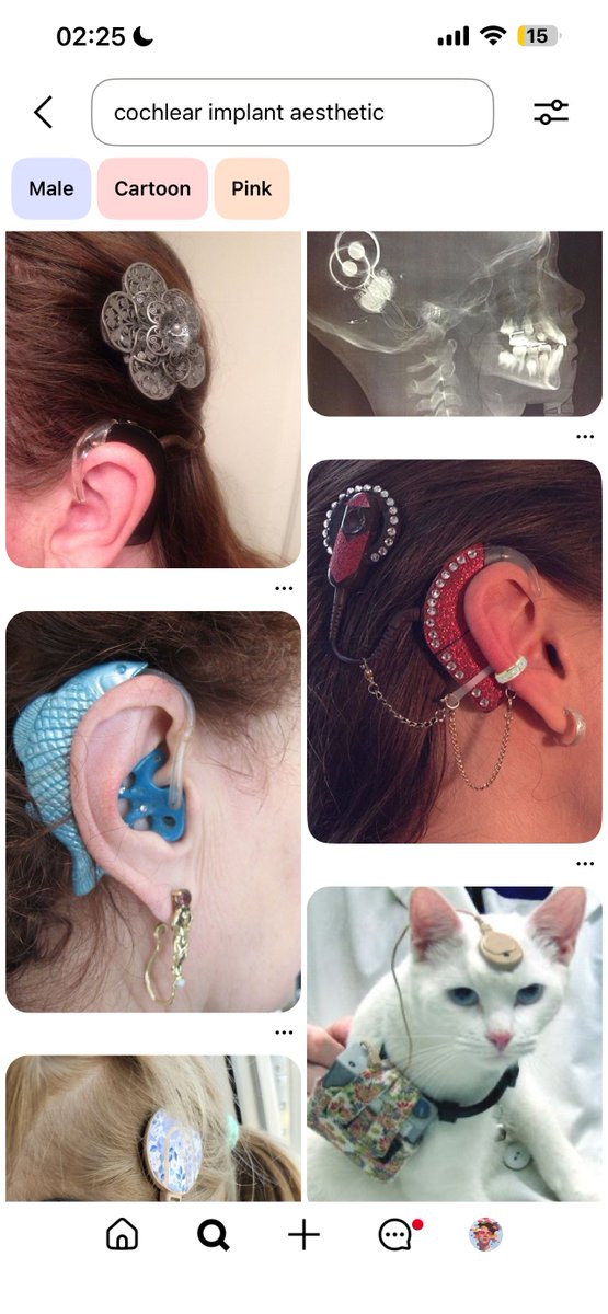 breadosha🕊️🏳️‍🌈 tweet media