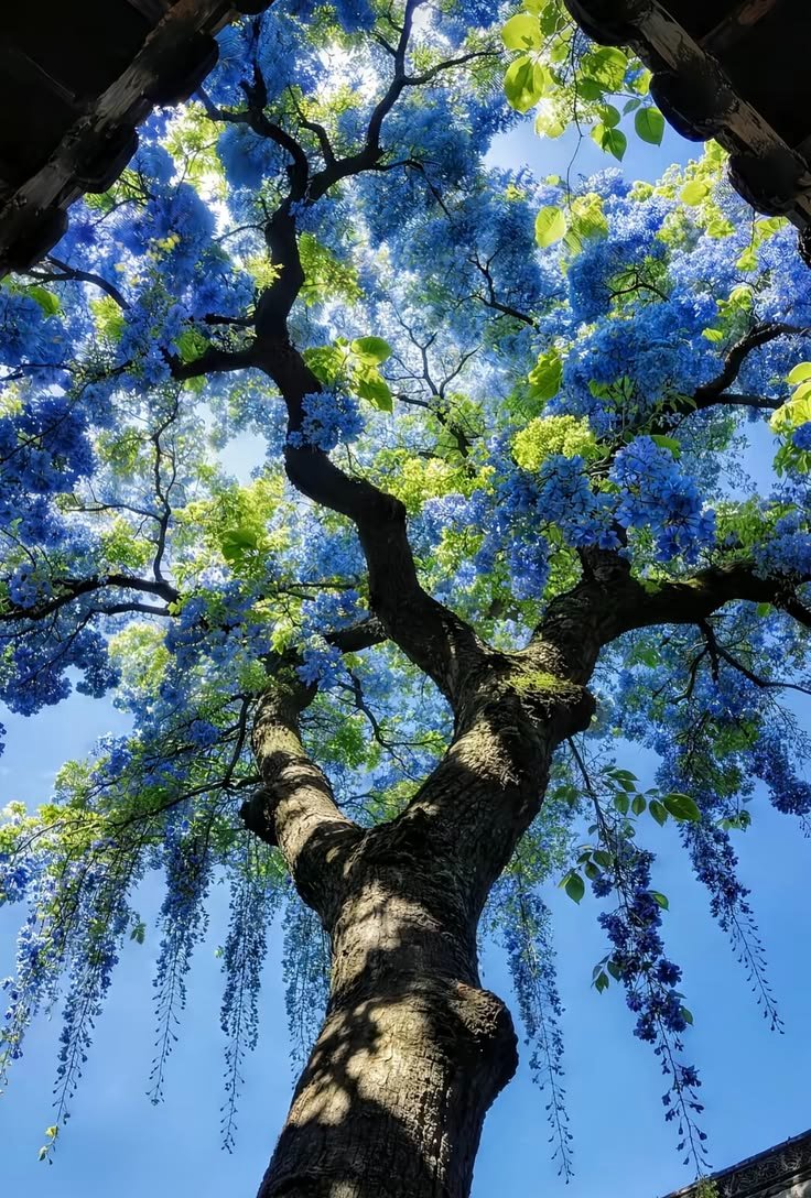 𝑝𝑢𝑟𝑒 tweet media