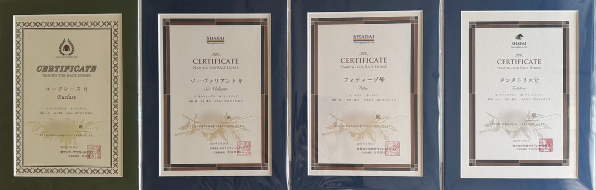 ナナイロペインター tweet media