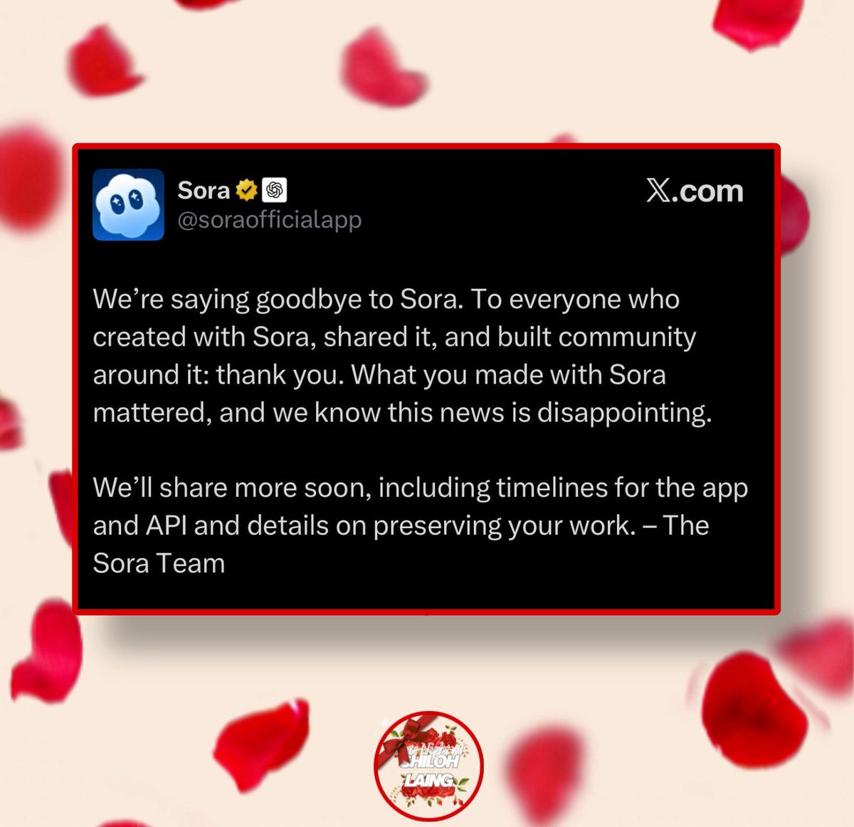 The XO Show ™ tweet media