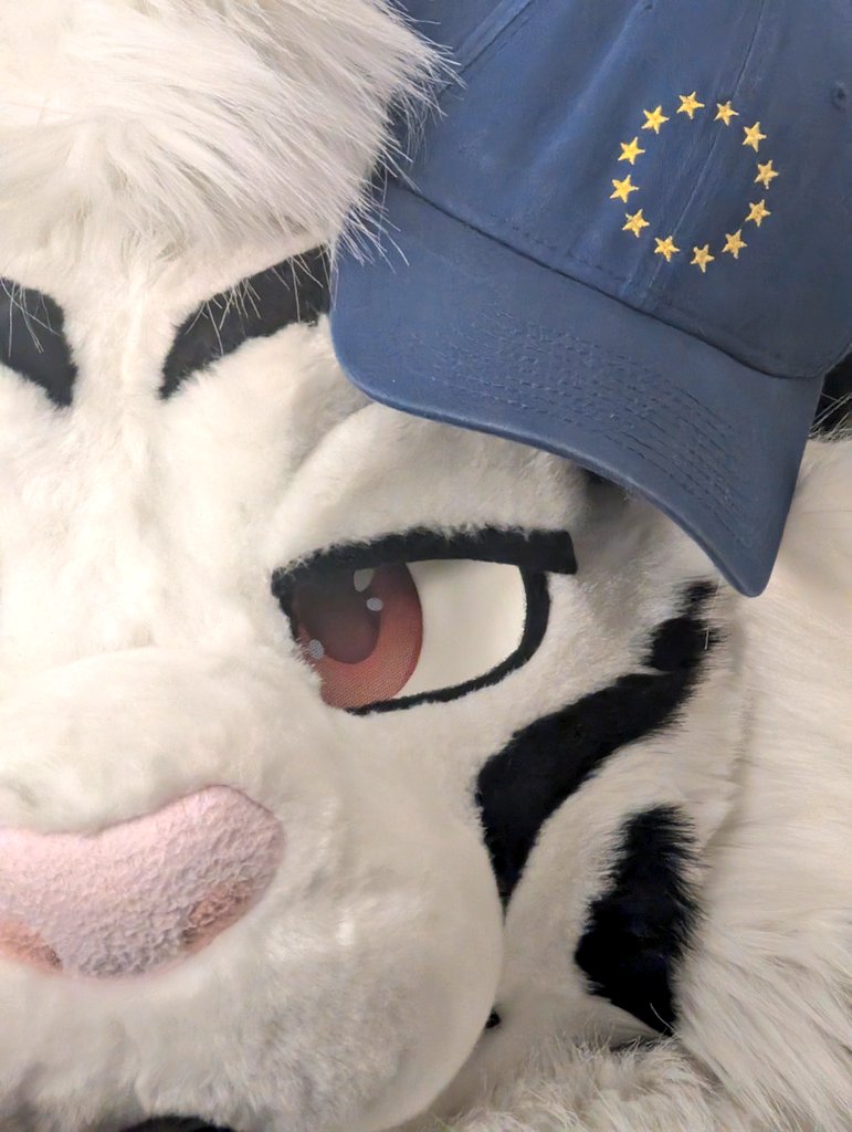 Akkord 👑 🇺🇦 🔜 FWA tweet media