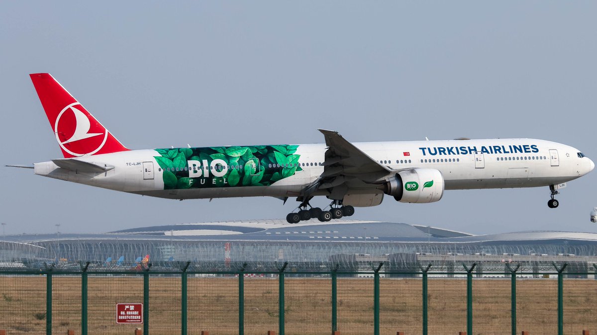 LazyFox_Lucas's tweet image. Turkish Airlines BIO FUEL 
B777-300ER
#Aviationphotography  #planespotting #avgeek