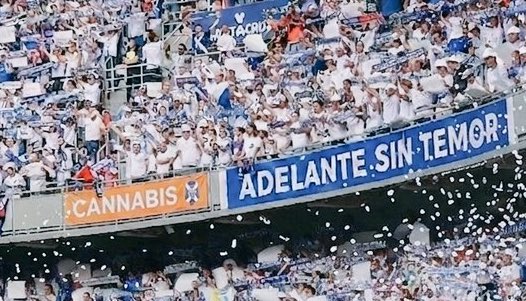 Numeritos CDT 🏴󠁧󠁢󠁳󠁣󠁴󠁿 👓 tweet media