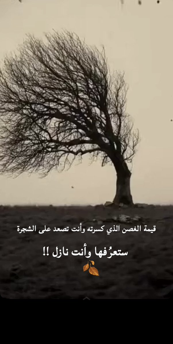 المحامي/ نواف محمد الشتيوي tweet media