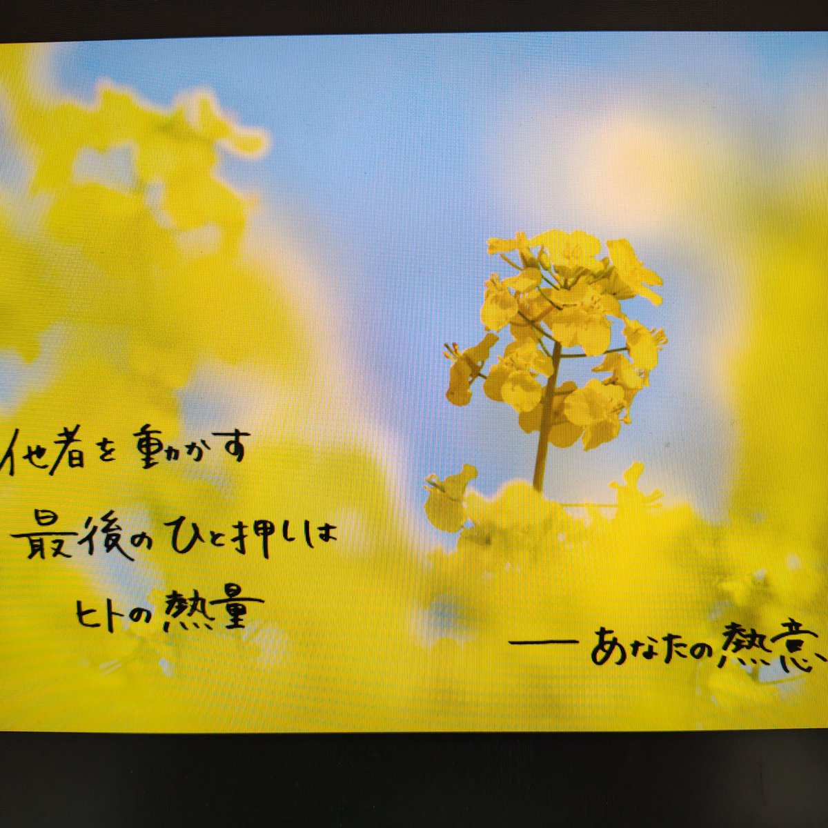 海蒼 絵葉書館／イベ情報は固定ツイにて tweet media