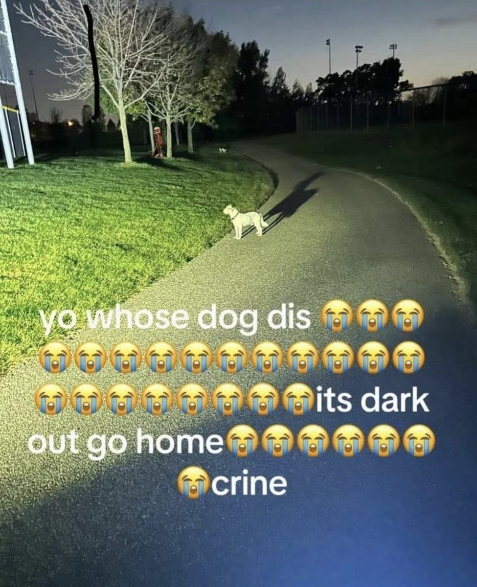 Trashboat tweet media