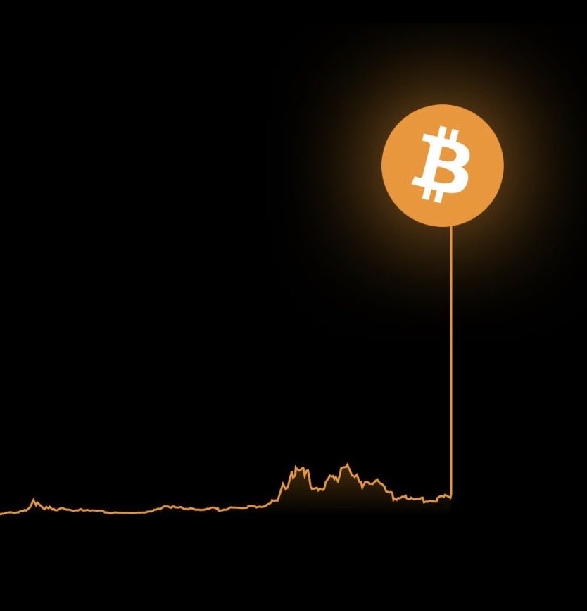 The ₿itcoin Therapist tweet media