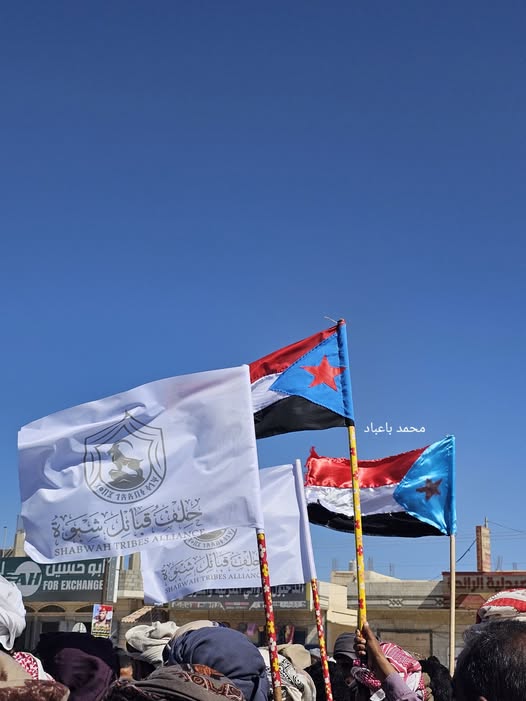 رعد الحالمي tweet media