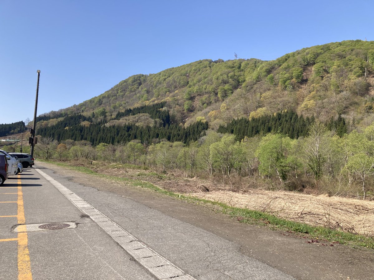 nigou(テレサ2号) tweet media