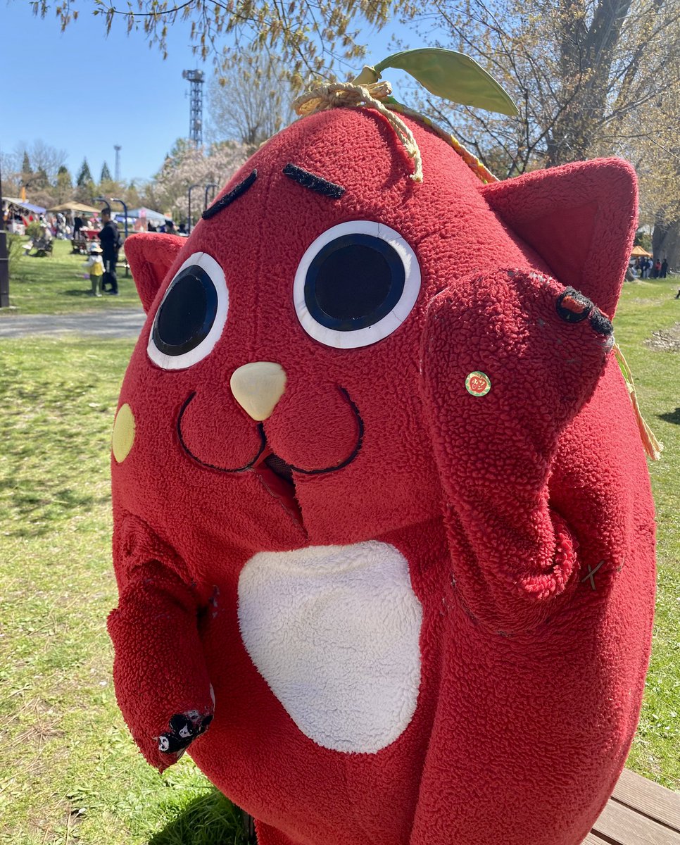 りんご品種別シール貼らせていただきました☀️🍎サンふじです🐱隣りは