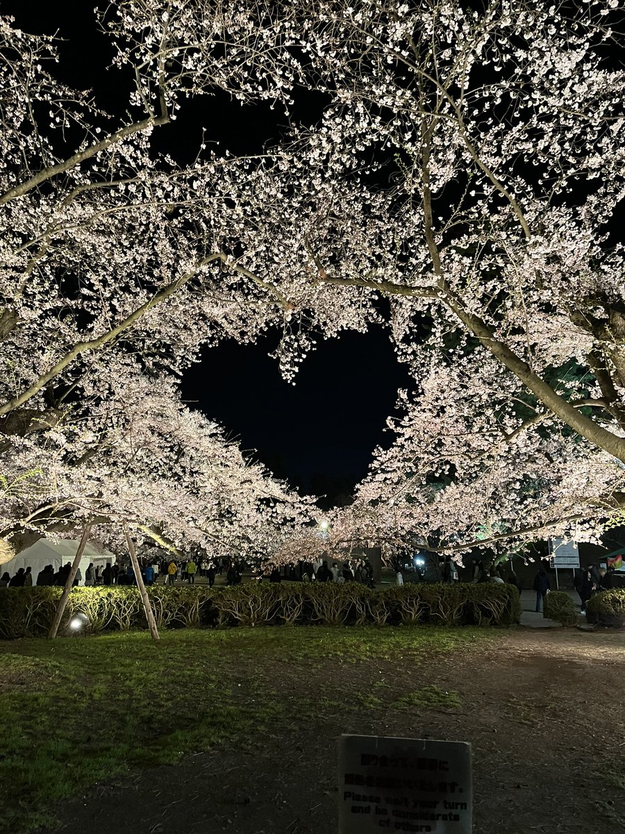jun_685's tweet photo. 夜桜🌸 水面に映る桜🌸 https://t.co/nLFXikffDj