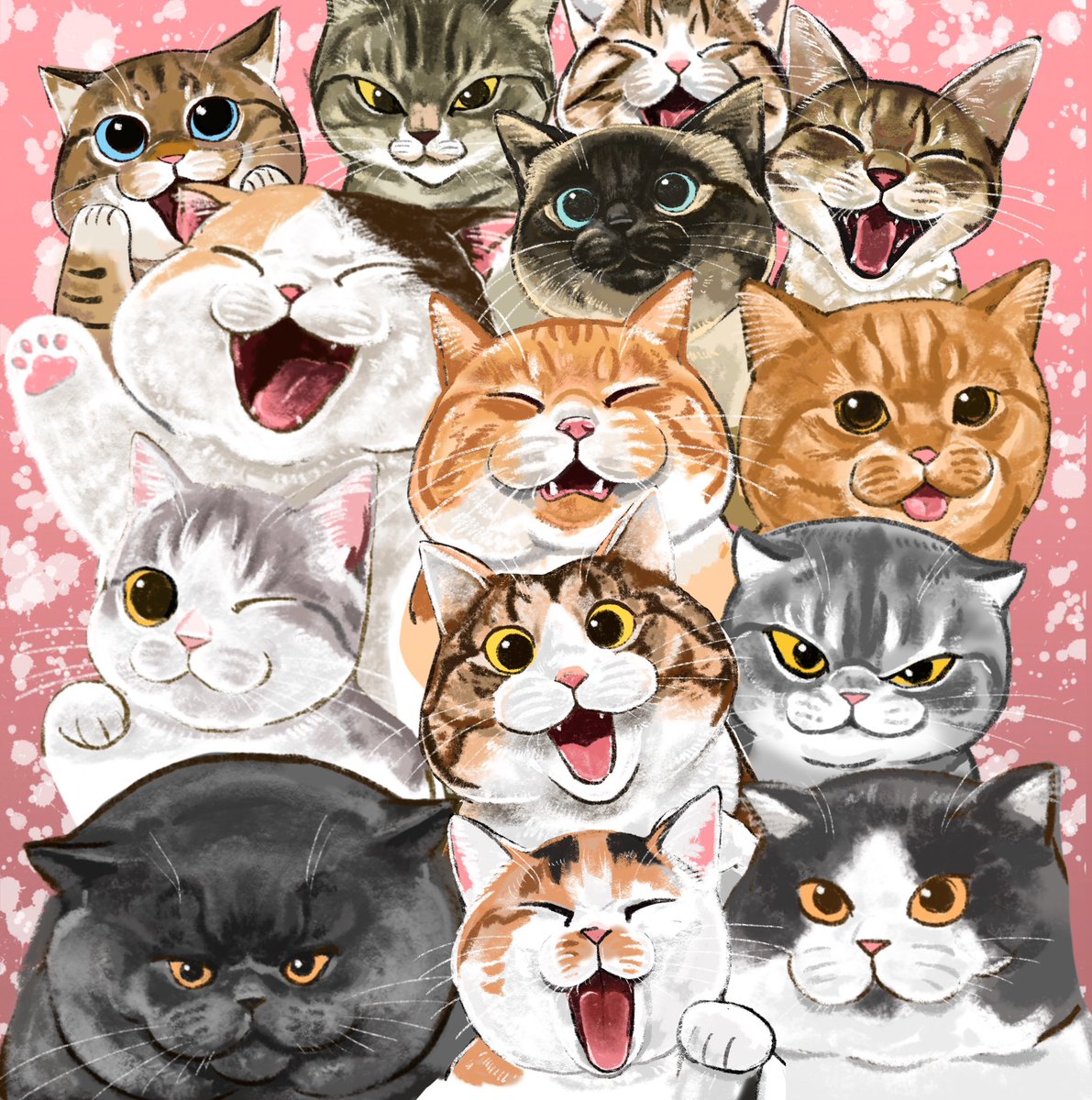OniTatu99's tweet photo. 朝のニャンコ詰め合わせ🩷
おはようございます🐾☀️☀️💕🐾🥰🥰🥰
今日も、もふもふニャンコさんをお楽しみください🥰🥰😍😍 https://t.co/aseorytYgz
