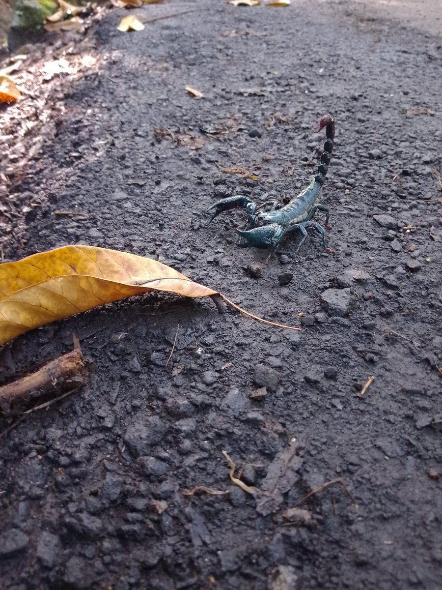 ndaa 🌿 tweet media