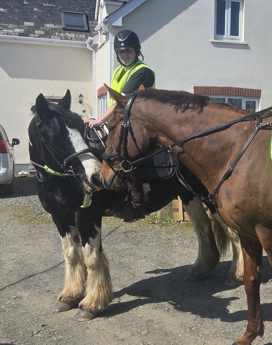 Decided to use my watch to track my ride today and the whole time it kept saying 'heart rate above alert level, slow your pace' and I was literally just walking on my horse 🐎  yay chronic illness