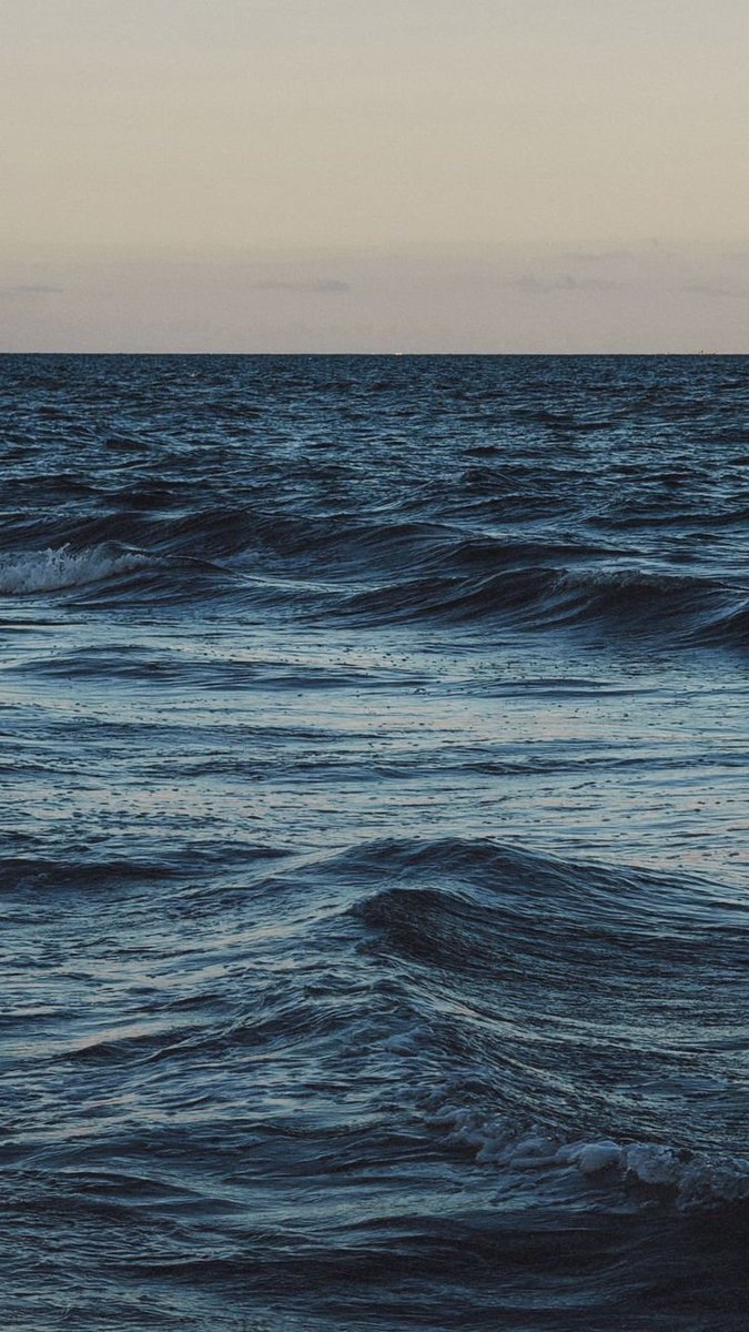 𝑝𝑢𝑟𝑒 tweet media