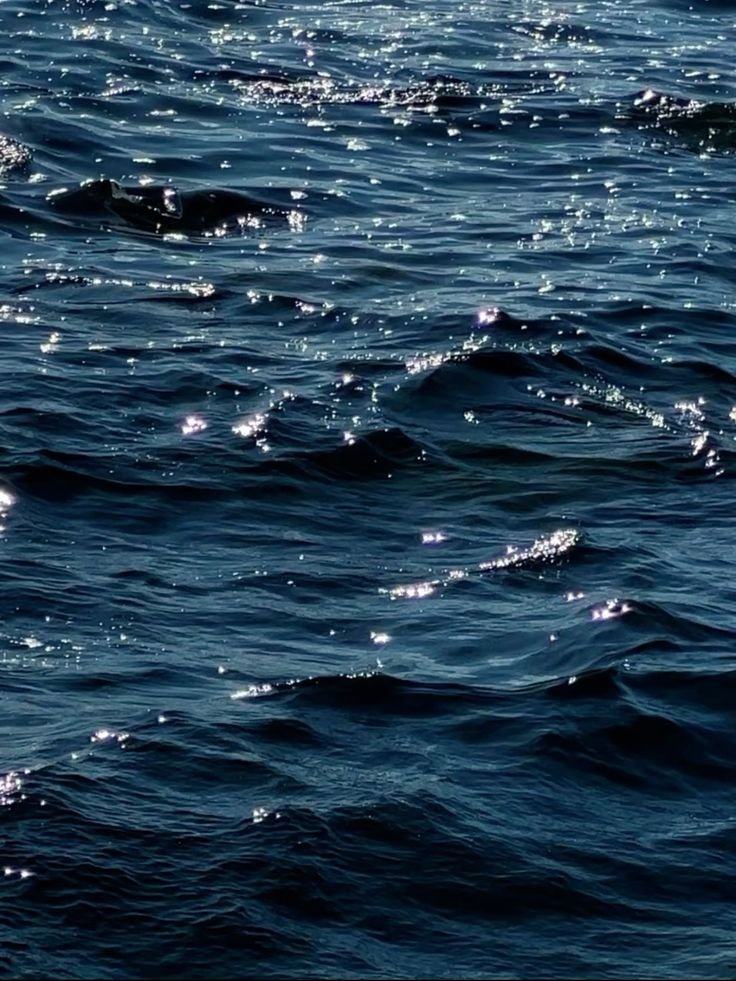 𝑝𝑢𝑟𝑒 tweet media