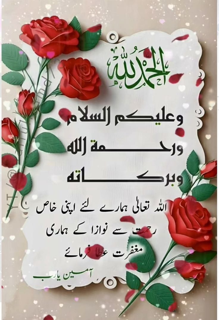 Yasar Manzoor Qureshi tweet media