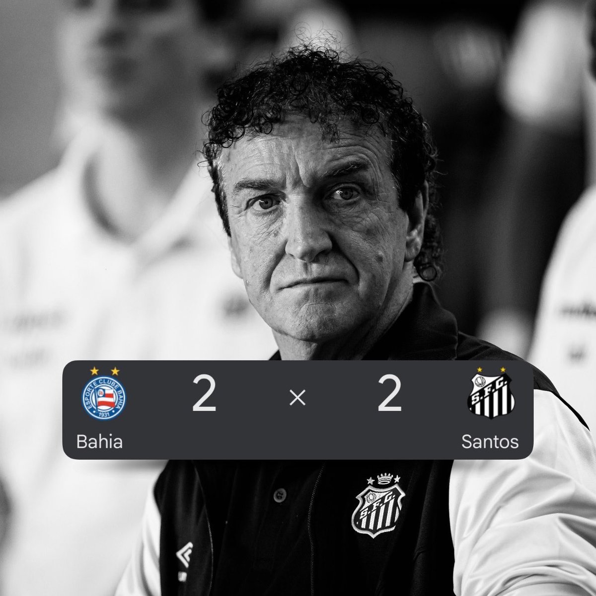 SFC PEIXE tweet media