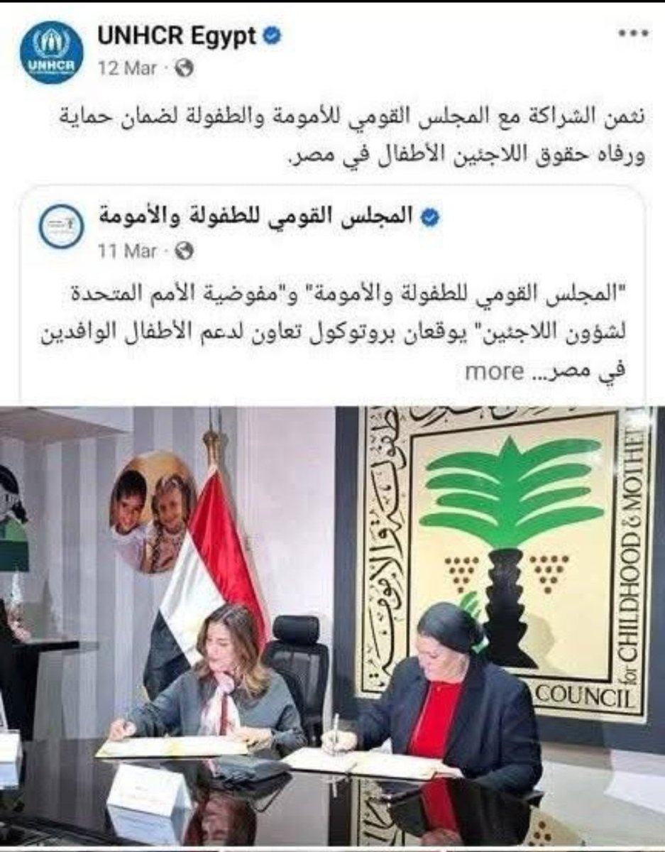 Saeed Shokr tweet media