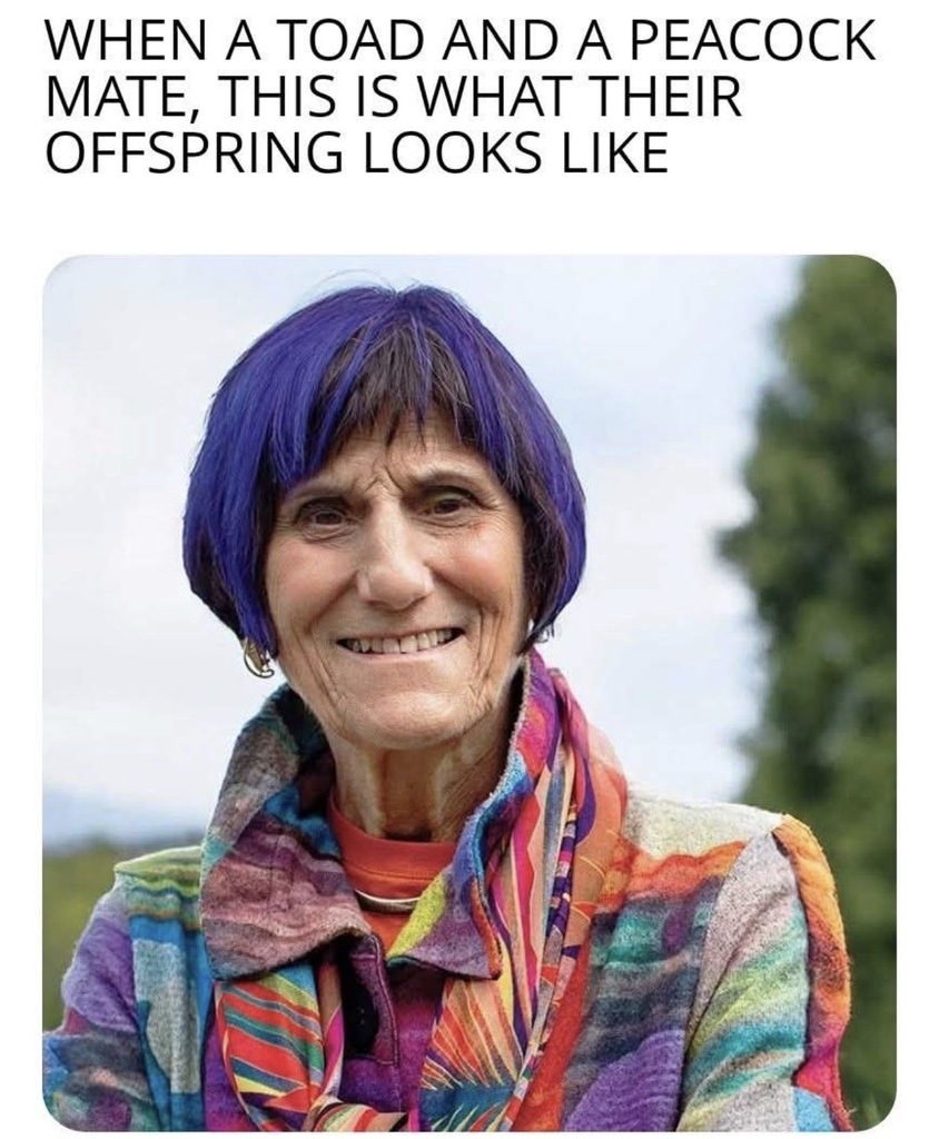 Matt Couch tweet media