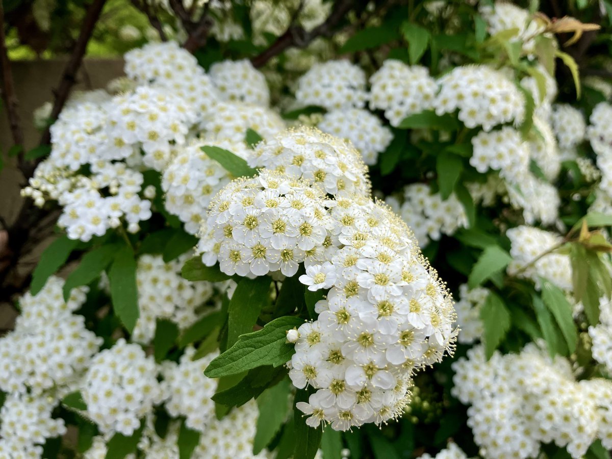 HIKO𖤣𖥧𖥣𖡡𖥧𖤣‎ tweet media