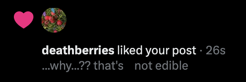 Charlotte Scanagatta tweet media