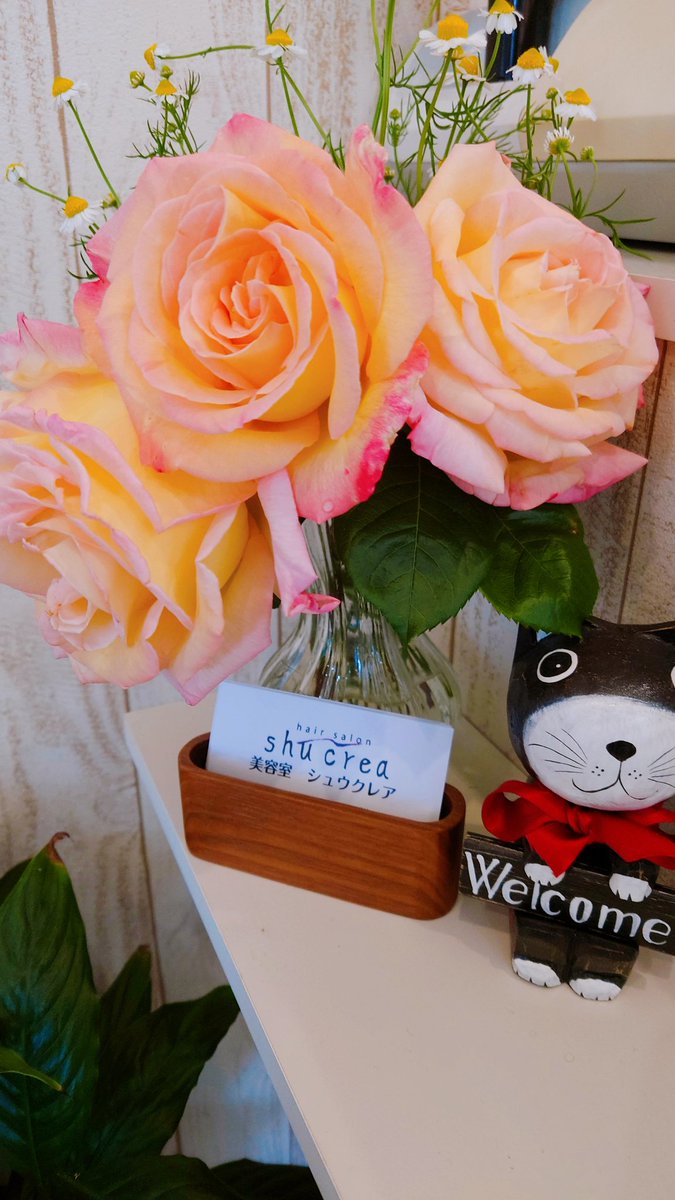 Shucrea45's tweet photo. おはようございます(^^)
＃美容室シュウクレア です

GW5/5㈫以外 営業✂️
ご予約はお早めに✨

27㈪.30㈭11時~○
28㈫.5.12.19.26定休日
29㈬13:30~○
5/1㈮9~10:30.14時~○
2㈯10:30~○
3㈰15時~○
4㈪9~17:30○

＃オーガニックカラー
＃ヴィラロドラ
＃oggiotto
＃オーダートリートメント
＃坂戸市 https://t.co/qbOgqrQRSK