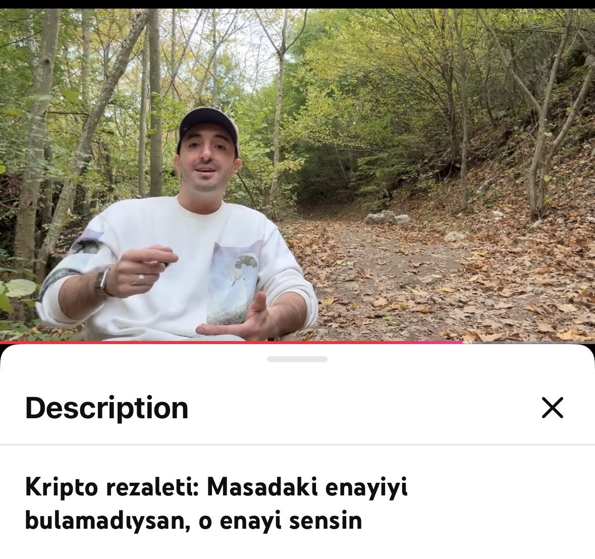 Mr. Cassandra tweet media