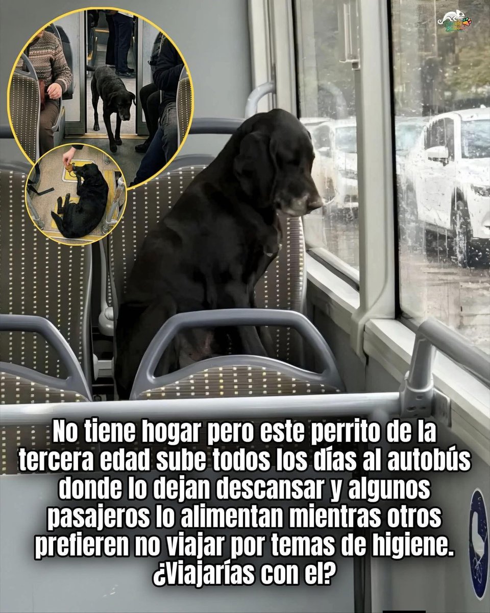 Manu Saenz💛💛 tweet media