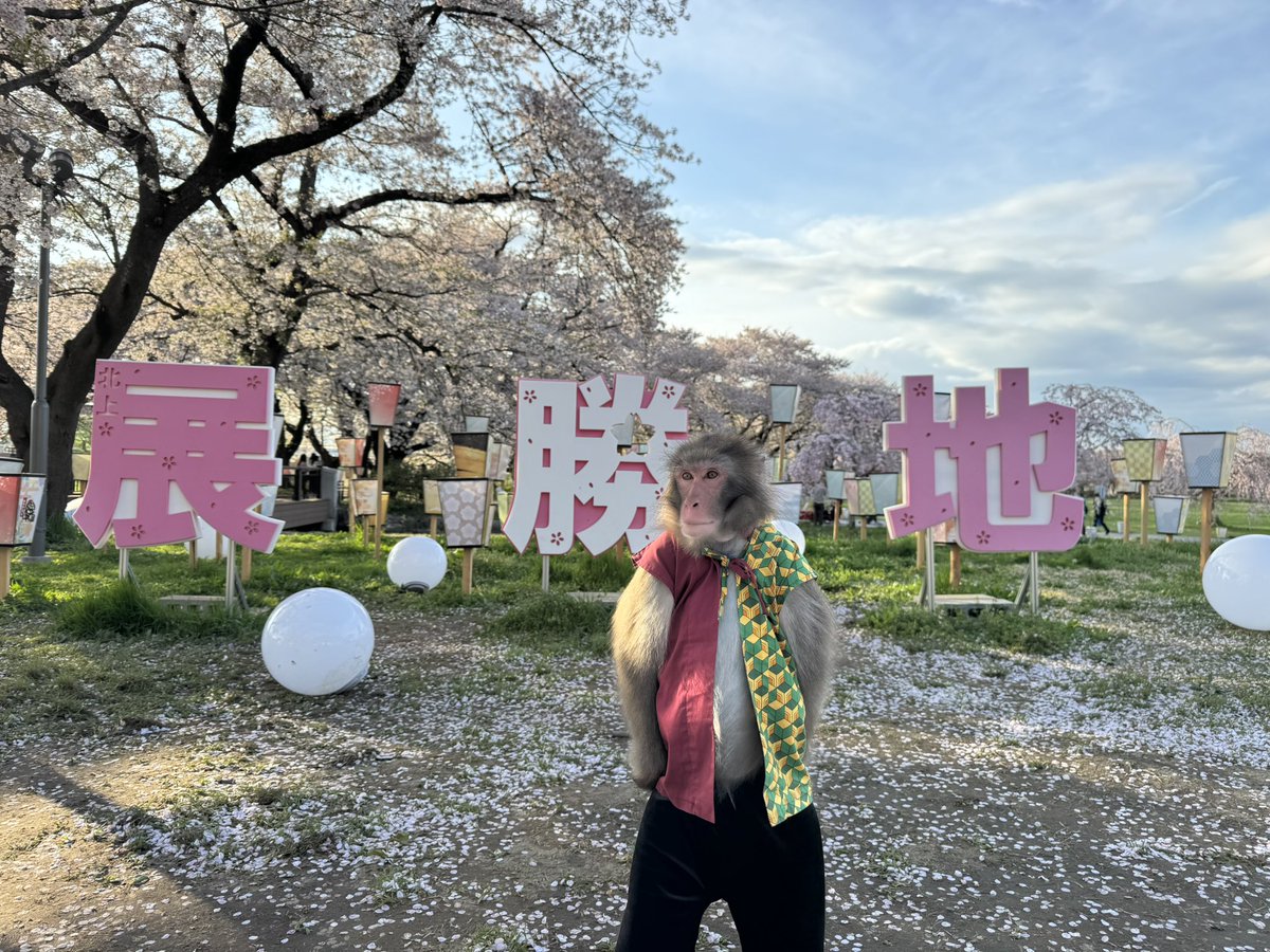 me0827you's tweet photo. 毎年恒例、展勝地さん前でのパシャリ📸

桜まつりも残すところあとわずか…

YOUくんは
26日、27日、29日の3日間です！

今ならまだ間に合います🚗💨
お待ちしております🐒🌸 https://t.co/BvwO6wD9MS
