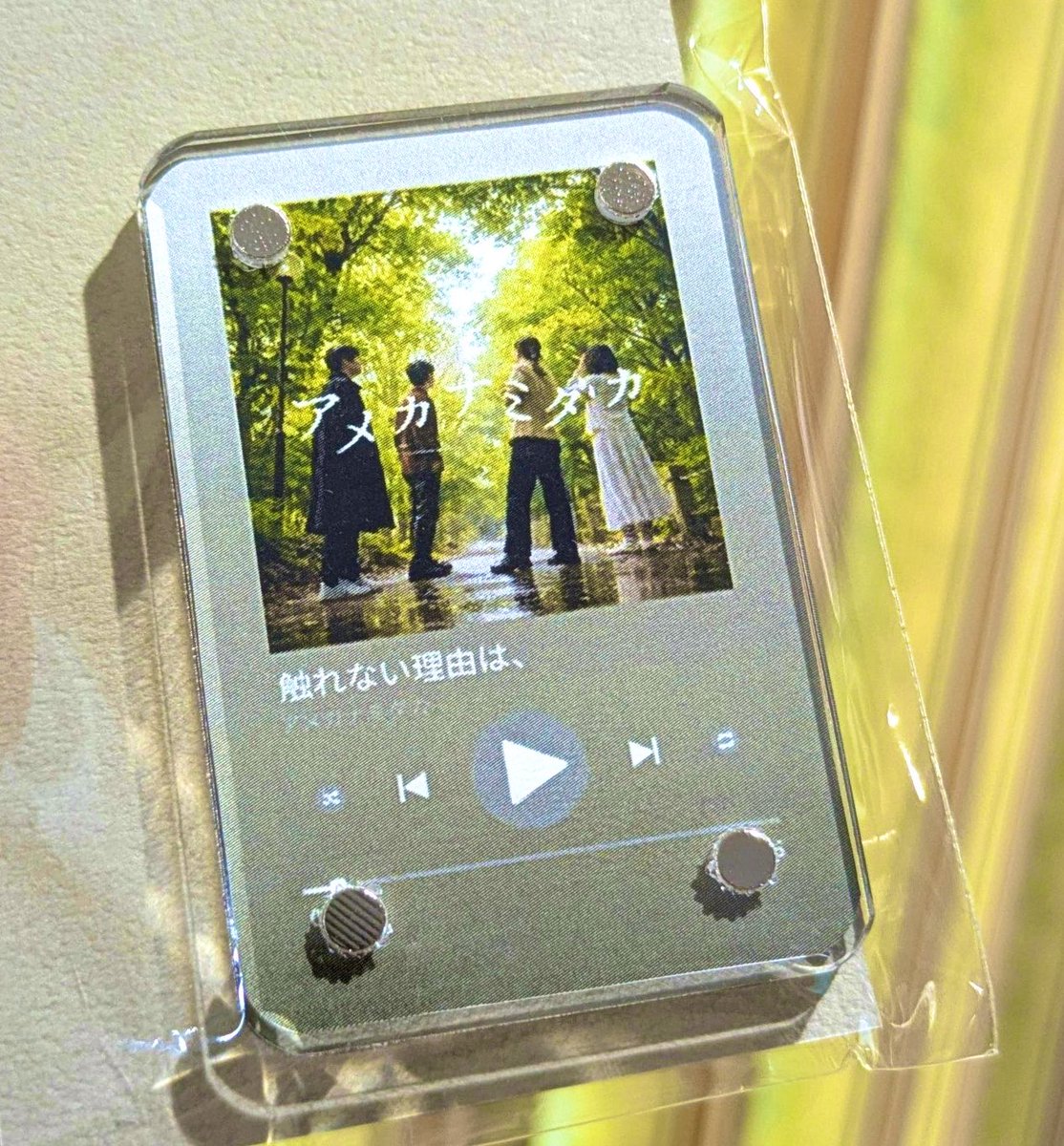 あお(Aocassia) 歌とモノづくり師 tweet media